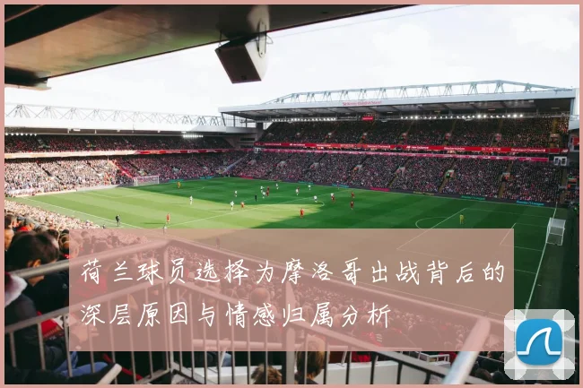 荷兰球员选择为摩洛哥出战背后的深层原因与情感归属分析