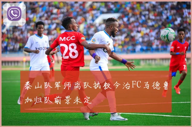 泰山队军师离队执教今治FC马德鲁加归队前景未定