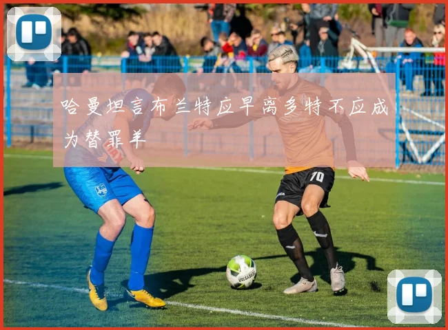 哈曼坦言布兰特应早离多特不应成为替罪羊
